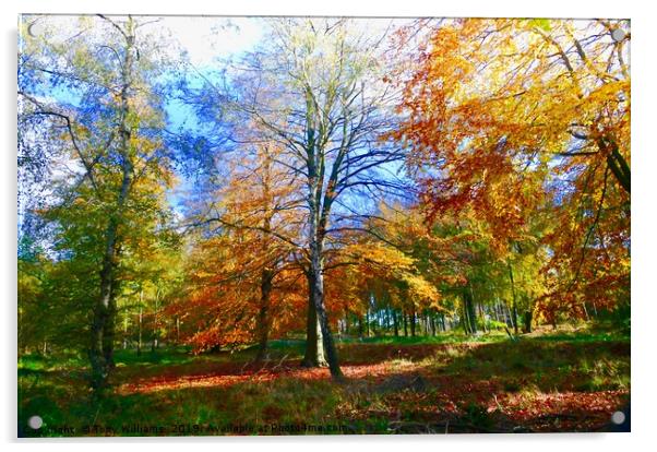  Beautiful Autumn Acrylic by Tony Williams. Photography email tony-williams53@sky.com