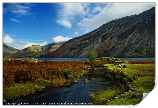 "Autumn evening colours at Wastwater" Print by ROS RIDLEY