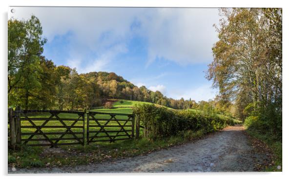 Lake District gateway Acrylic by Jason Wells