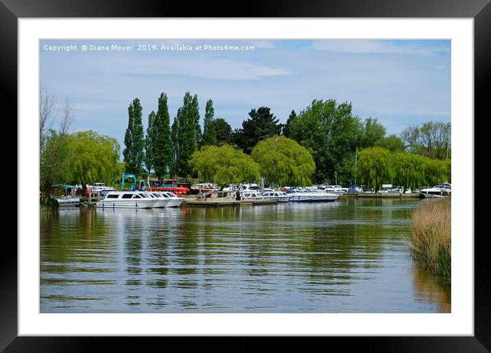 River Waveney Boats Framed Mounted Print by Diana Mower
