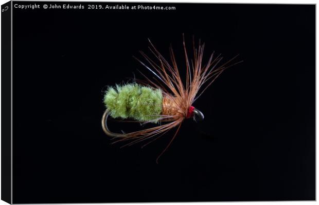 Green Caddis Nymph Trout Fly Canvas Print by John Edwards