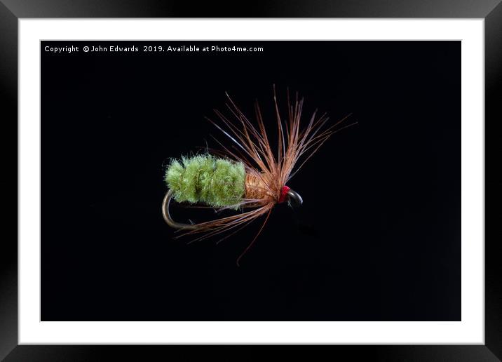 Green Caddis Nymph Trout Fly Framed Mounted Print by John Edwards