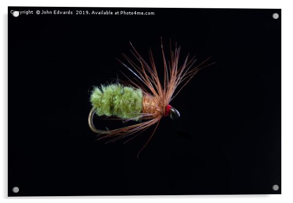 Green Caddis Nymph Trout Fly Acrylic by John Edwards