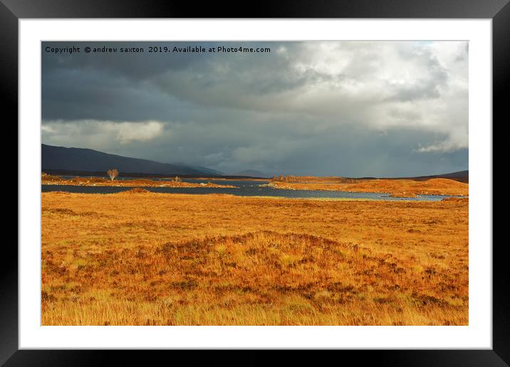 THE STORM Framed Mounted Print by andrew saxton