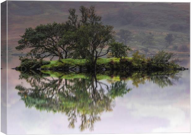 Lake District island Canvas Print by Robbie Spencer