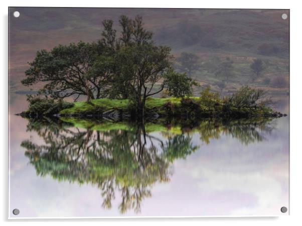Lake District island Acrylic by Robbie Spencer
