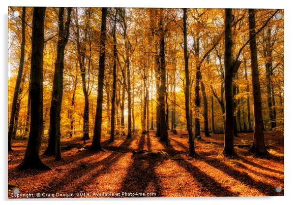 Golden Autumn Forest Acrylic by Craig Doogan
