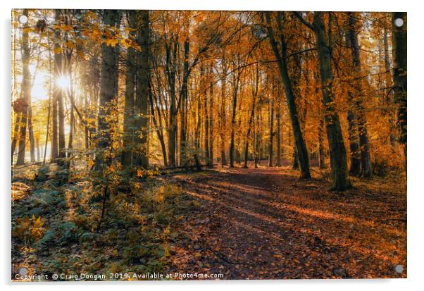 Golden Autumn Forest 2 Acrylic by Craig Doogan