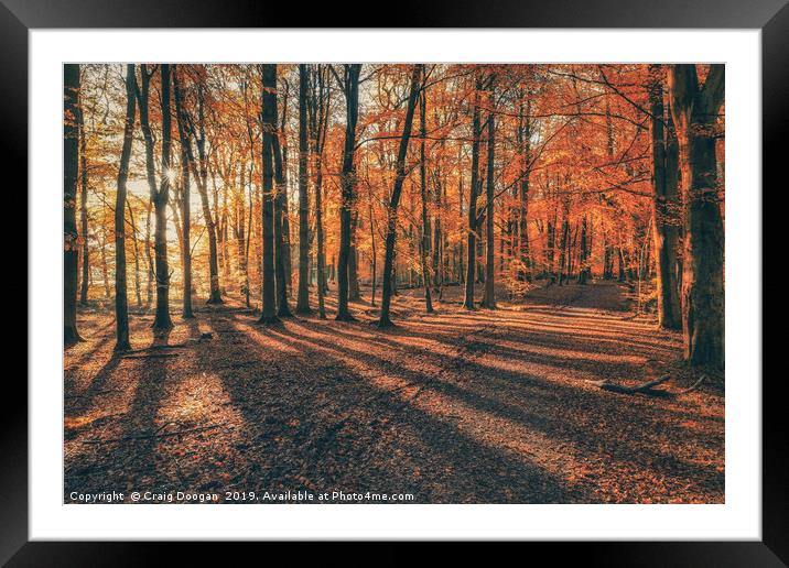 Autumn at Templeton Woods Framed Mounted Print by Craig Doogan