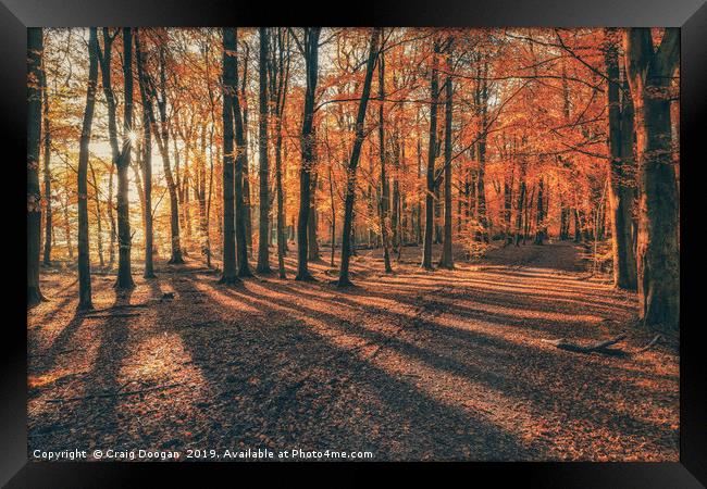 Autumn at Templeton Woods Framed Print by Craig Doogan