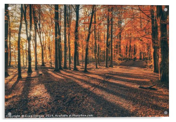 Autumn at Templeton Woods Acrylic by Craig Doogan