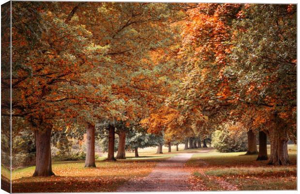 Pretty Autumn Path Canvas Print by Svetlana Sewell