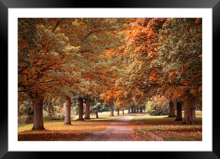 Pretty Autumn Path Framed Mounted Print by Svetlana Sewell