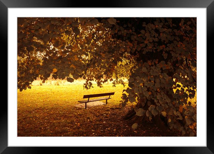 Autumn Bench Framed Mounted Print by Svetlana Sewell