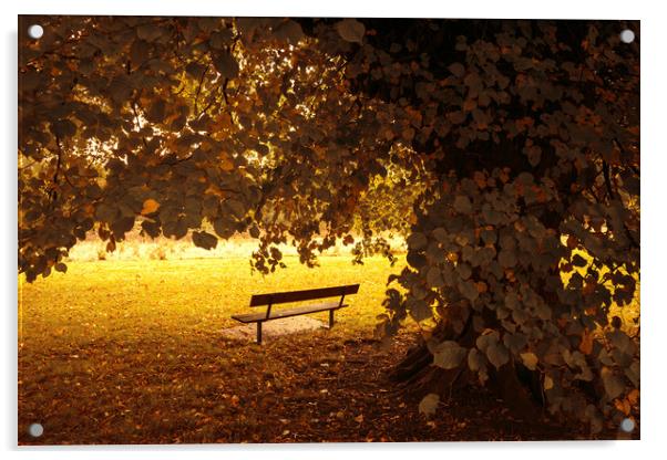 Autumn Bench Acrylic by Svetlana Sewell