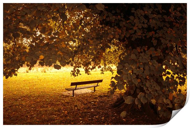 Autumn Bench Print by Svetlana Sewell