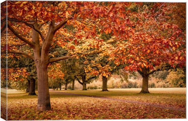 Autumn in Suffolk Canvas Print by Svetlana Sewell