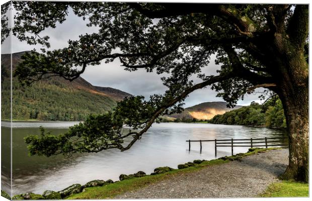 Buttermere lake view Canvas Print by Robbie Spencer