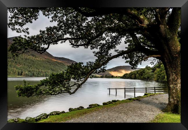 Buttermere lake view Framed Print by Robbie Spencer