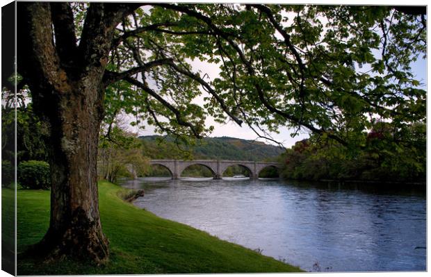 The River Tay at Dunkeld Scotland Canvas Print by Jacqi Elmslie