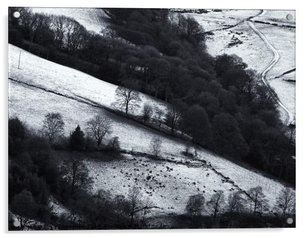 winter boundaries Acrylic by Philip Openshaw