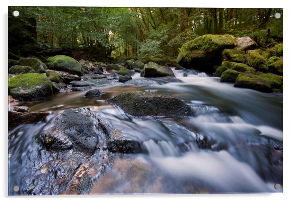 Golitha Falls Acrylic by CHRIS BARNARD