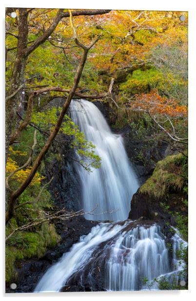 Buchan Falls Glentrool Scotland Acrylic by Derek Beattie
