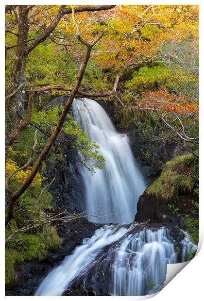 Buchan Falls Glentrool Scotland Print by Derek Beattie