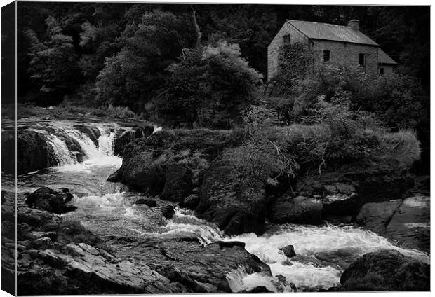 CENARTH FALLS Canvas Print by Anthony R Dudley (LRPS)