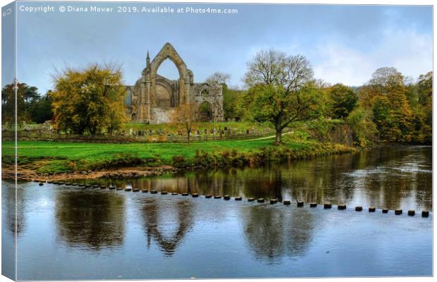 Bolton Abbey Stepping Stones Wharfedale Canvas Print by Diana Mower