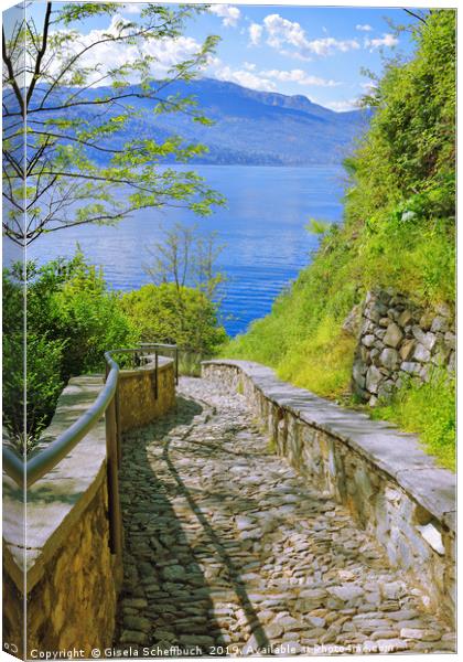 Way to the Lake Canvas Print by Gisela Scheffbuch