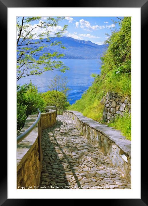 Way to the Lake Framed Mounted Print by Gisela Scheffbuch