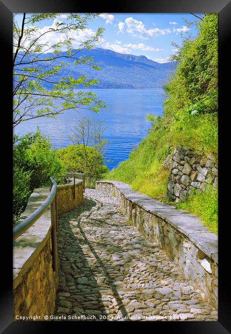 Way to the Lake Framed Print by Gisela Scheffbuch