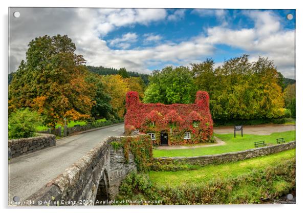 Llanrwst Cottage Autumn  Acrylic by Adrian Evans