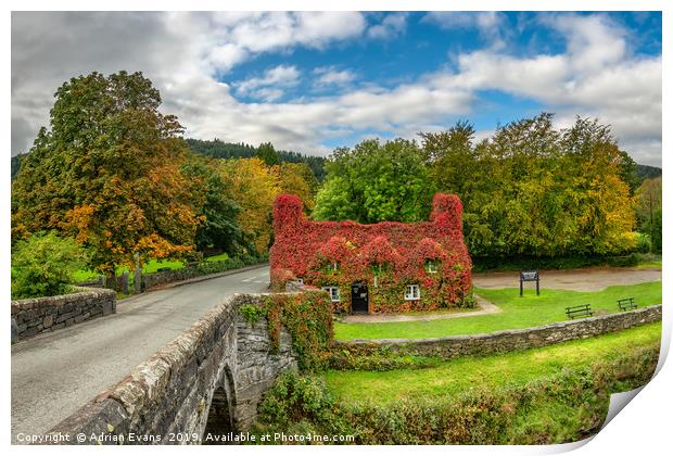 Llanrwst Cottage Autumn  Print by Adrian Evans