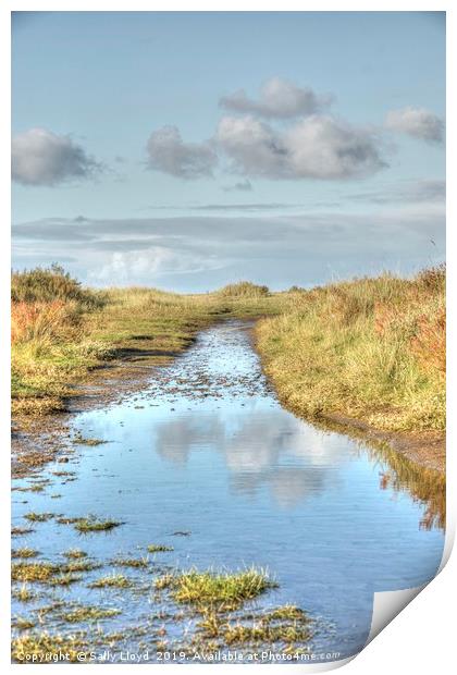 Cloudy Creek at Blakeney  Norfolk  Print by Sally Lloyd