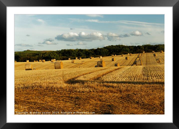 ROLLED FIELD Framed Mounted Print by andrew saxton
