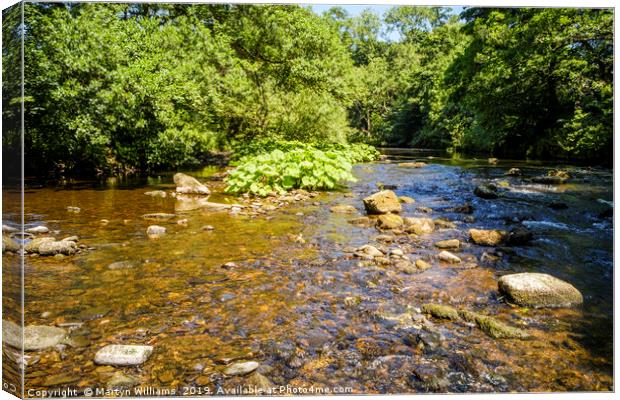 River Derwent, Derbyshire Canvas Print by Martyn Williams