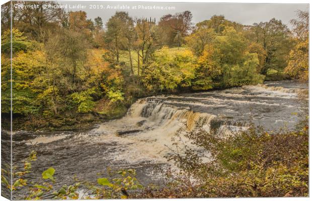 Autumn at Aysgarth Middle Falls, Yorkshire Dales Canvas Print by Richard Laidler