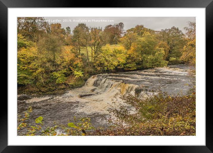 Autumn at Aysgarth Middle Falls, Yorkshire Dales Framed Mounted Print by Richard Laidler