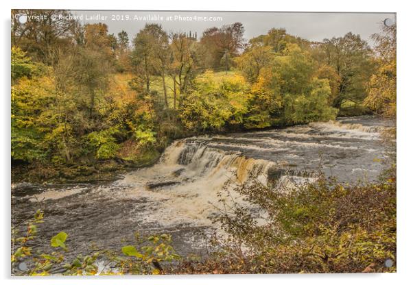 Autumn at Aysgarth Middle Falls, Yorkshire Dales Acrylic by Richard Laidler