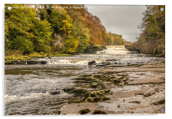Autumn at Aysgarth Lower Falls, Yorkshire Dales Acrylic by Richard Laidler