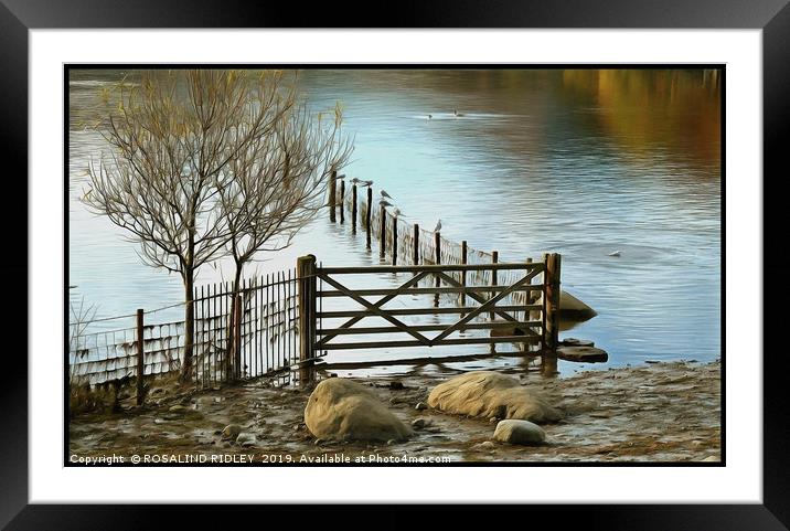 "Reflections at the lake" Framed Mounted Print by ROS RIDLEY