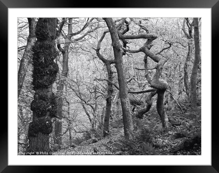 twisted winter forest  Framed Mounted Print by Philip Openshaw