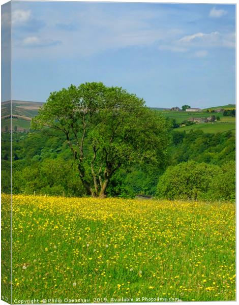 spring meadow and flowers Canvas Print by Philip Openshaw