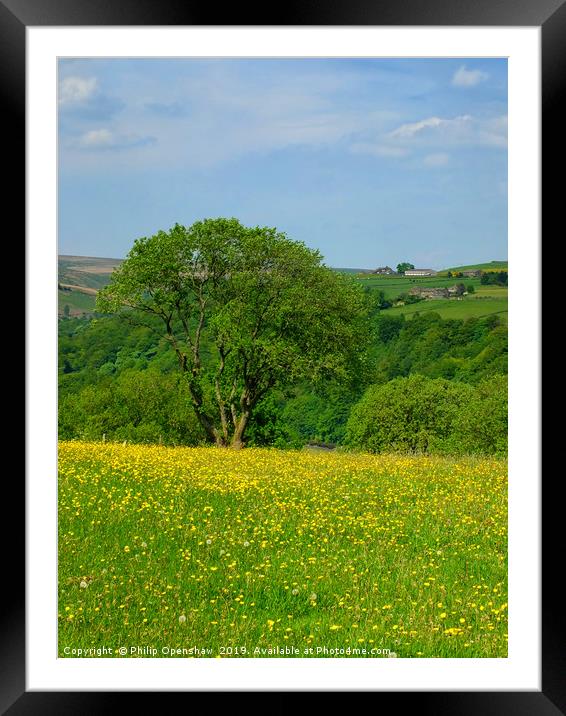 spring meadow and flowers Framed Mounted Print by Philip Openshaw