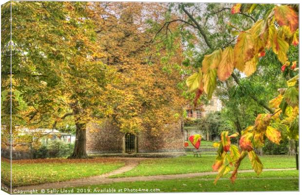 Autumnal Cow Tower, Norwich Canvas Print by Sally Lloyd