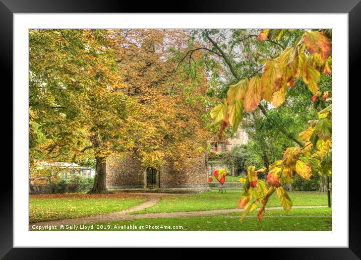 Autumnal Cow Tower, Norwich Framed Mounted Print by Sally Lloyd