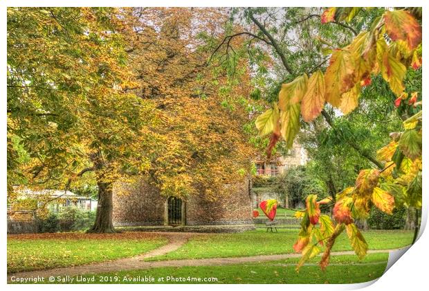 Autumnal Cow Tower, Norwich Print by Sally Lloyd