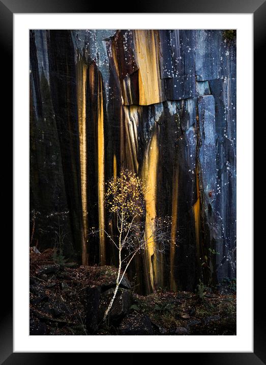 Reclaimed by Nature Framed Mounted Print by John Finney